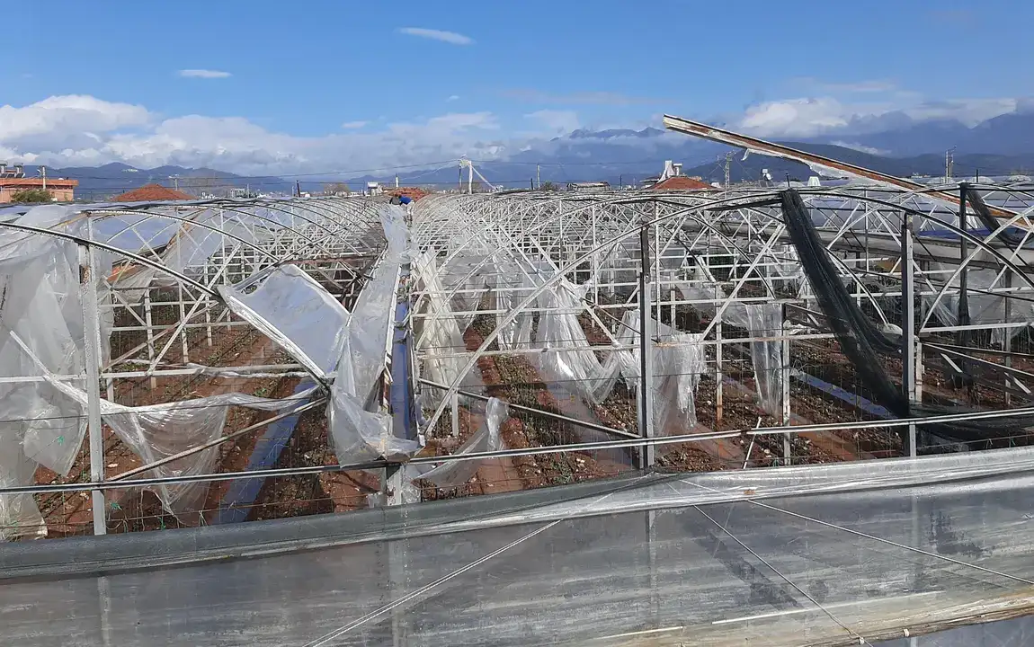 Sağanak ve Hortum Sera ve Narenciyeleri Vurdu 1